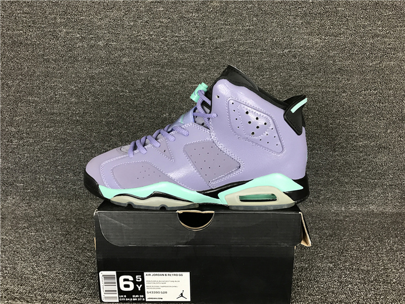 Air Jordan 6 GS Iron Purple 543390 508